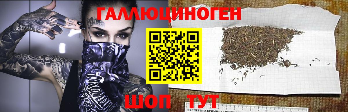Псилоцибиновые грибы MAGIC MUSHROOMS Нижний Новгород